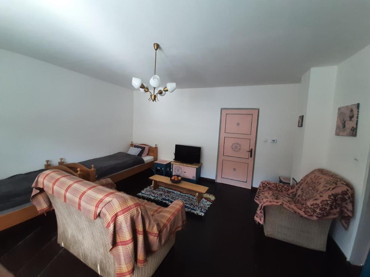 Babickin Dom Villa Medzilaborce Buitenkant foto