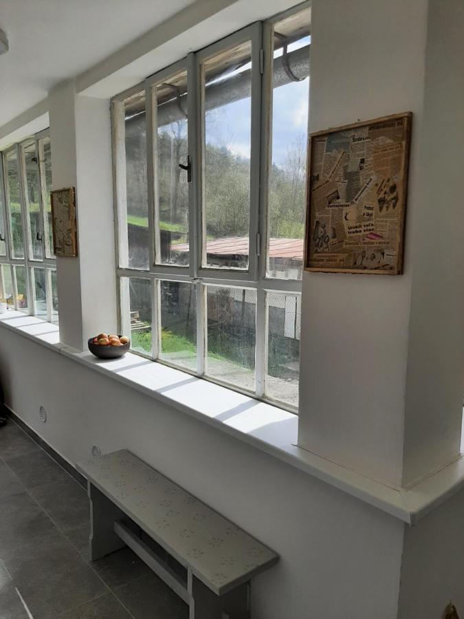 Babickin Dom Villa Medzilaborce Buitenkant foto