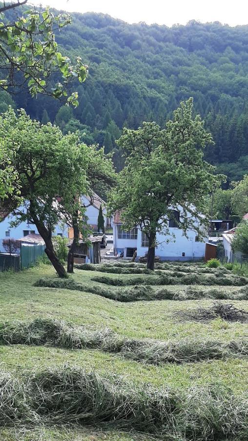 Babickin Dom Villa Medzilaborce Buitenkant foto