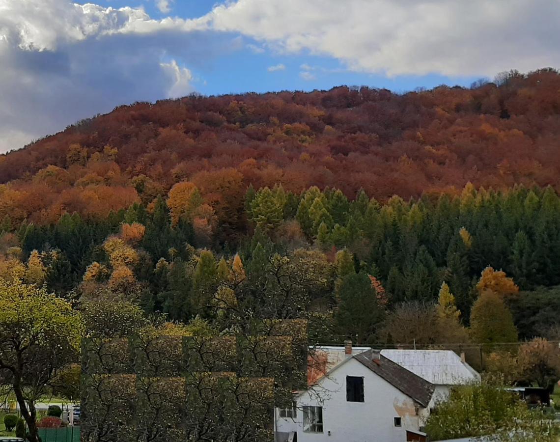 Babickin Dom Villa Medzilaborce Buitenkant foto